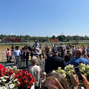 Meet your Posher, Thomas